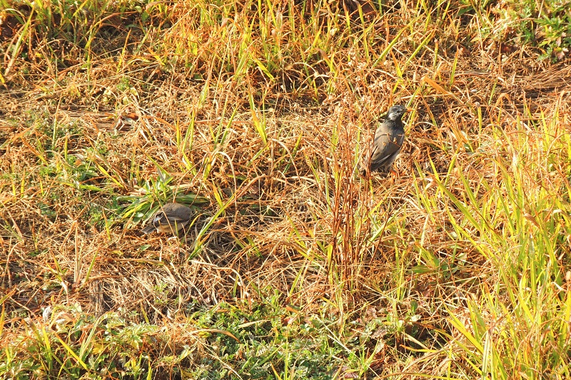b0288942_1252128.jpg