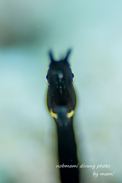 d0237353_539467.jpg
