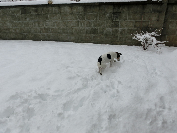 c0140260_20143811.jpg