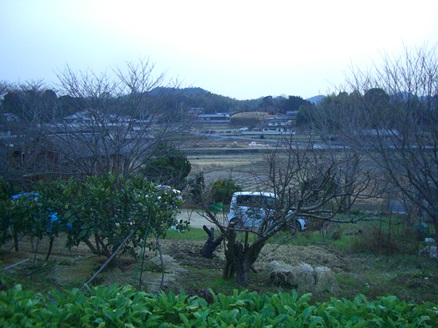 e0240973_191128.jpg