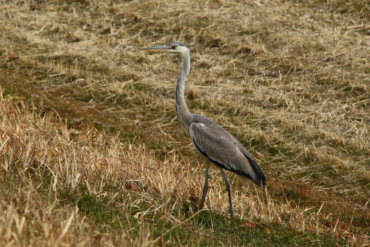 e0249878_21474703.jpg