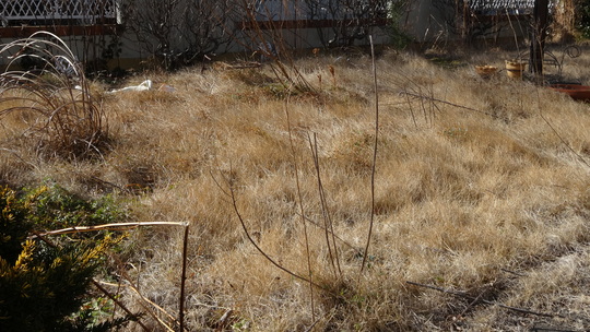a0272591_1955875.jpg