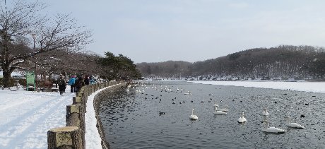e0122199_23322915.jpg