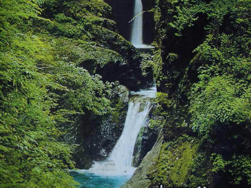 a0188405_13492921.jpg