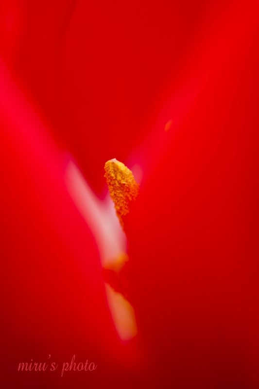 c0037519_23193634.jpg