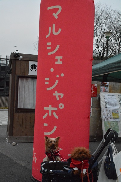 f0124830_1220528.jpg