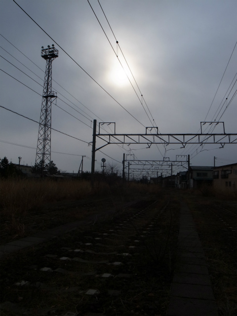 a0087341_6203138.jpg