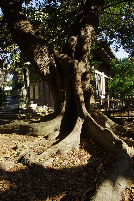 d0185744_1827259.jpg