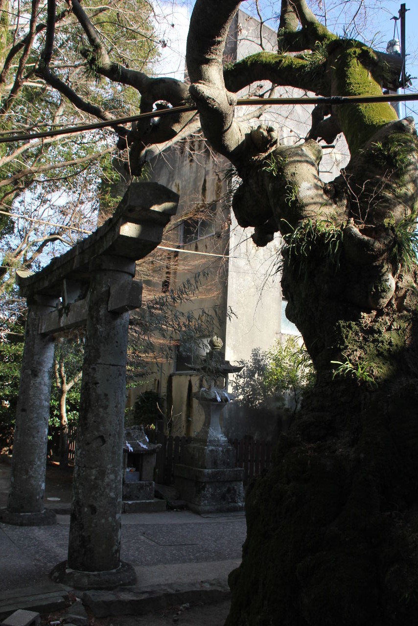 c0011649_981363.jpg