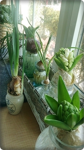 c0222474_10555180.jpg