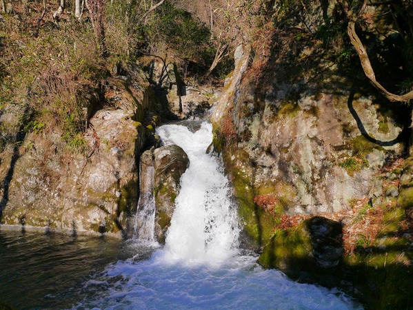 b0197678_1610259.jpg