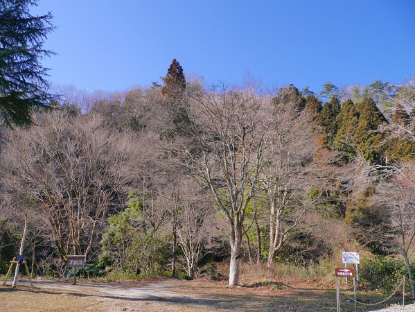 b0197678_16134798.jpg