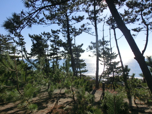 e0123587_118185.jpg