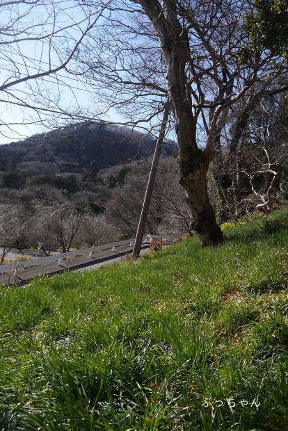 f0353990_17061307.jpg