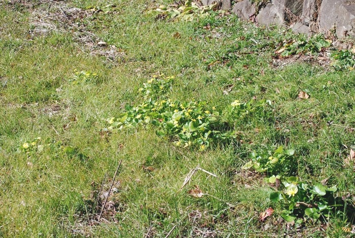 e0025300_12595513.jpg