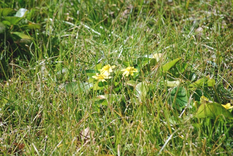 e0025300_1341865.jpg