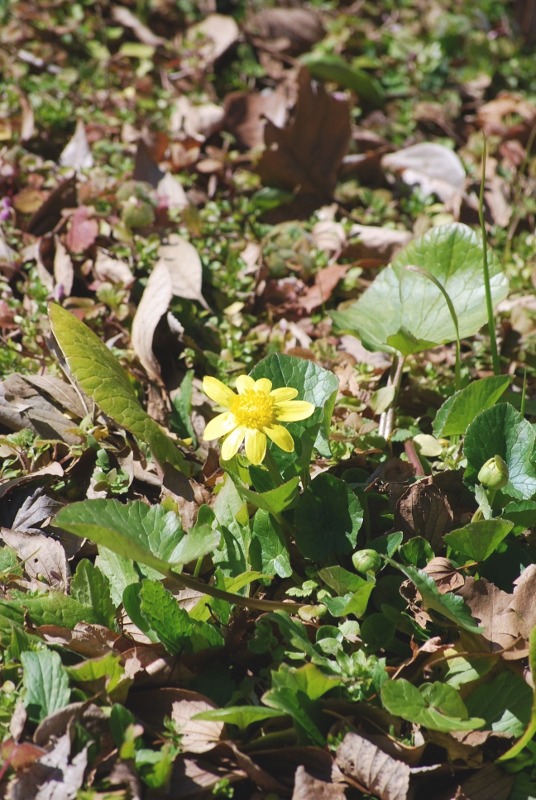 e0025300_1355640.jpg