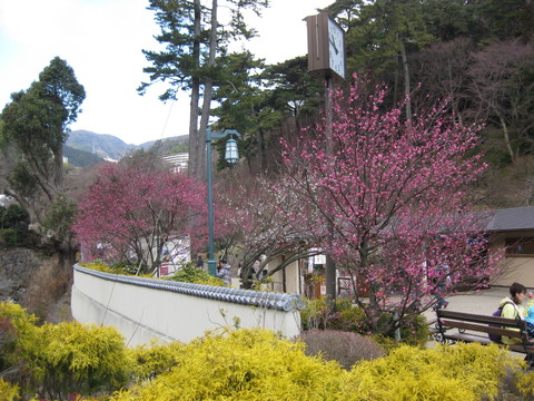 b0183111_0381216.jpg
