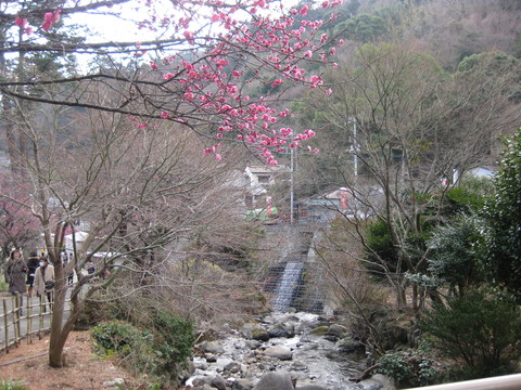 b0183111_0485262.jpg