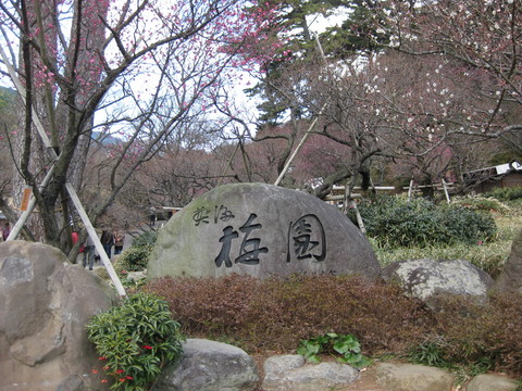b0183111_0525221.jpg