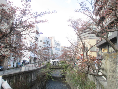 b0183111_1151170.jpg