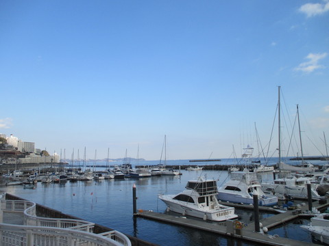 b0183111_1191747.jpg