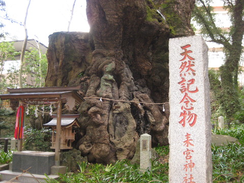 b0183111_142773.jpg