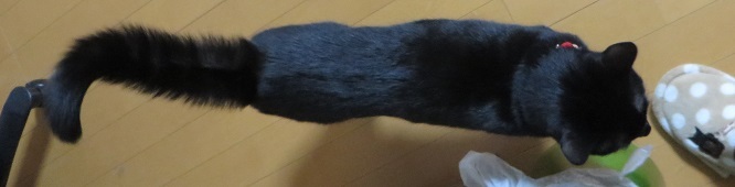 c0280322_15404215.jpg