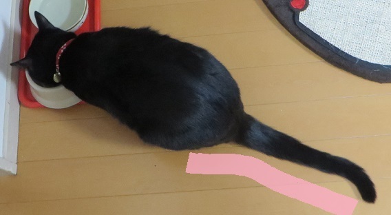 c0280322_15423499.jpg