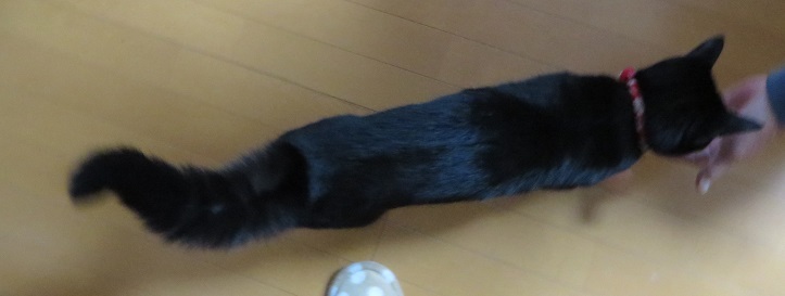 c0280322_15433863.jpg