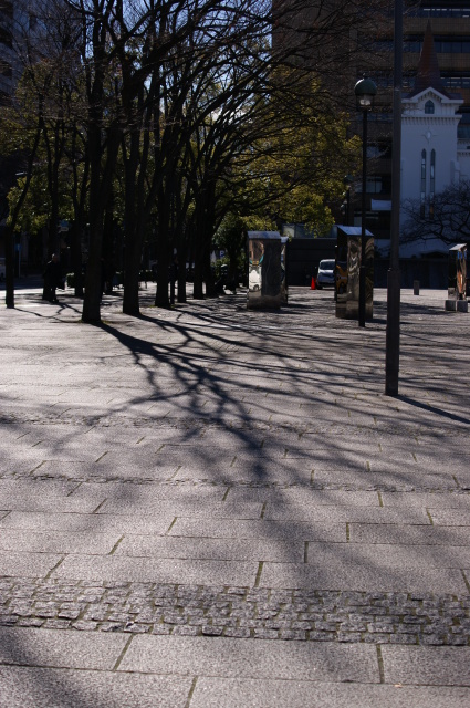 a0318033_17223162.jpg