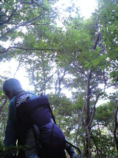 d0141735_15145536.jpg