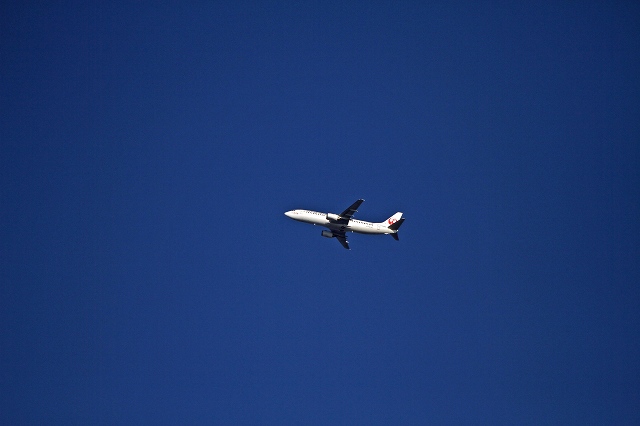 a0242438_1957045.jpg