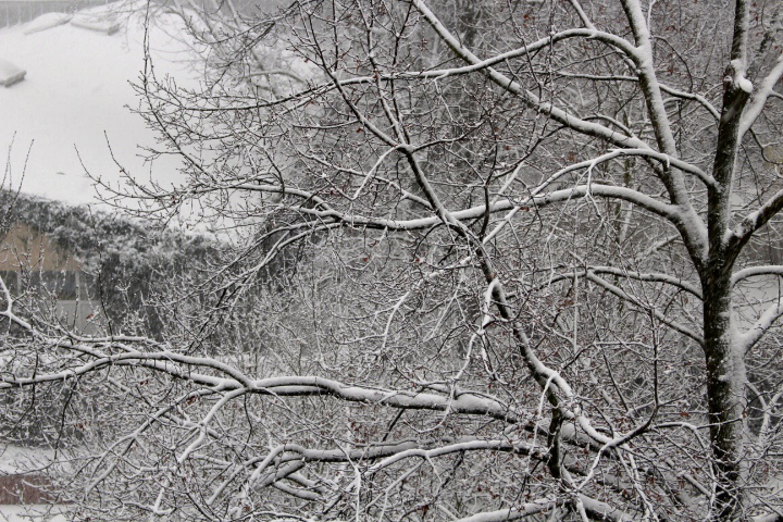 c0153740_2355418.jpg