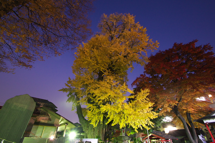 c0180845_14165460.jpg
