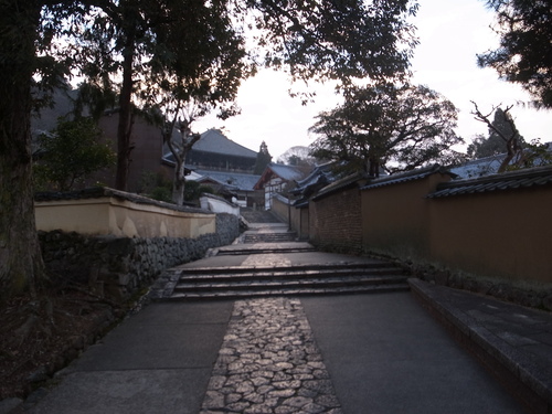 d0134147_111337.jpg