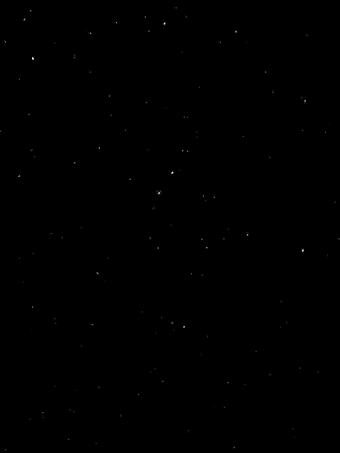 c0039153_1374255.jpg
