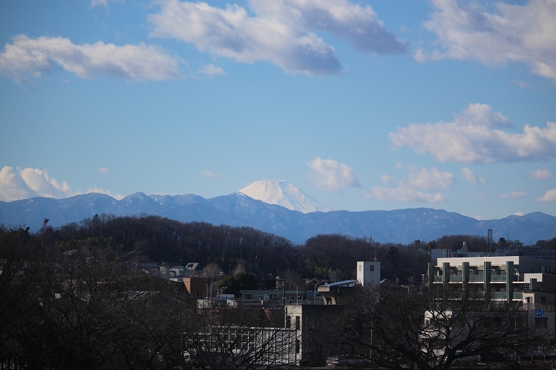 b0250154_20580523.jpg
