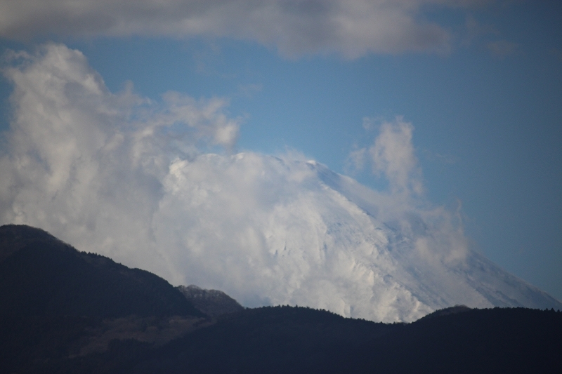 b0250154_20581622.jpg