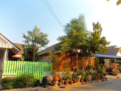 a0002177_1336254.jpg