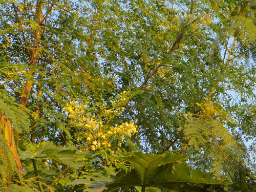 a0002177_13364974.jpg