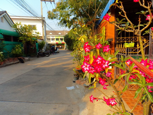 a0002177_133732.jpg