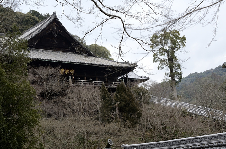 f0108478_2041172.jpg
