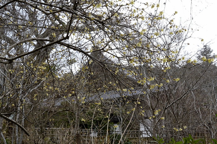 f0108478_20514768.jpg