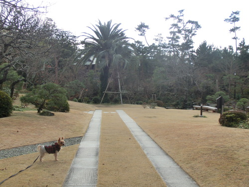 e0123587_22174629.jpg