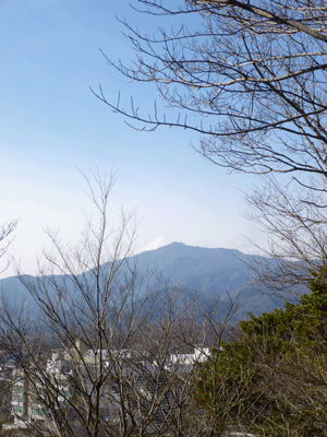 e0312121_22583667.gif