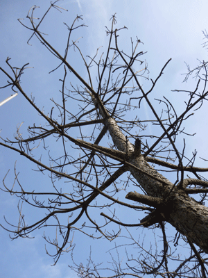 e0312121_2372428.gif