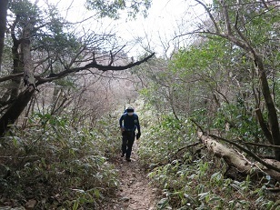 c0077338_10311152.jpg