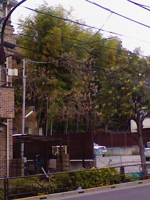b0031140_0275162.jpg