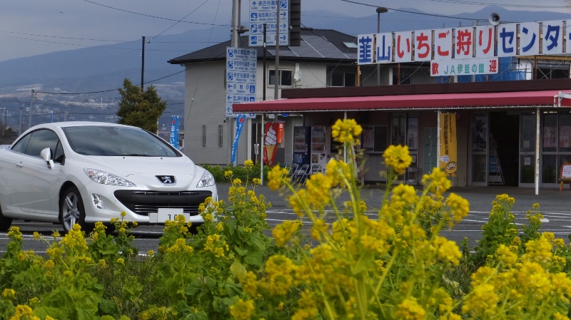 f0091250_1622138.jpg